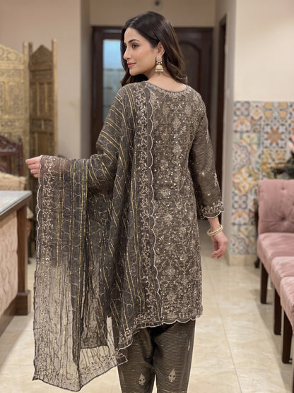 Festive 3Pc Unstitched Zari Measuri Net Outfit with Silk Bottoms