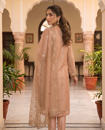 Embroidered Chiffon Style Zari Masuri Cotton Net Ensemble